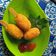 Cooksnap dari MauRa untuk resep Kaki Naga Gendutz