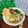 Cooksnap dari Nyonya Farhan untuk resep Mie Ayam