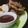Cooksnap dari Yusuf untuk resep Pempek kulit (frozen)