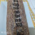 صورة من مطبخ كريمة داركم 🏡 Cuisine Karima Maison، شاركها بعد تجربة وصفة كيك بصوص الكراميل