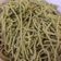 Cooksnap dari Wilma Liem untuk resep Mie Sawi + Bit Homemade