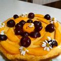 کوک اسنپ కꪖꪶꪖꪹ بعد از امتحان کردن تارت انبه فاطمه پز🥭.