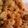 Angela's cooksnap of when they made Fried shrimp.