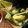 Cooksnap dari Hani Agustin untuk resep Barongko super lembut