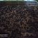 Cooksnap dari Wiwin Wijayanti untuk resep Brownies panggang shiny crunch