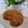 Cooksnap dari Maya Pratiwi untuk resep Oyster Mushroom Cheese Katsu
