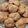 Wild Card's cooksnap of when they made Amish Friendship Bread Snickerdoodle Cookies.