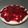 El cooksnap de Magdalena Coronel cuando hizo Cheesecake de frutilla.