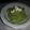 El cooksnap de Maite cuando hizo Guacamole 😍🥑🍅🌰.