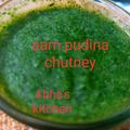 Abha Agam Singh's cooksnap of when they made Pudina chutney.