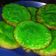 Cooksnap dari dewi ayu untuk resep Kue cucur hijau (tepung terigu)