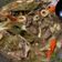 Cooksnap dari jstc untuk resep Tongseng Sapi no santan