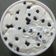 Bina Talati's cooksnap of when they made ડ્રાયફ્રુટ શિખંડ (Dryfruit Shrikhand Recipe In Gujarati).