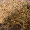 Сooksnap від garik, який(а) приготував(ла) Норвежский яблочный пирог. Очень вкусный и простой. Шарлотка отдыхает.