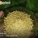heena's cooksnap of when they made સેવ (Sev Recipe In Gujarati).