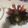 El cooksnap de Vanessa Martín Iglesias cuando hizo Espárragos con jamón.