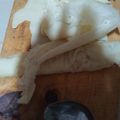 Cooksnap dari MyPrincess Naura untuk resep Kulit Lumpia Tipis Anti Sobek Renyah