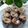 Cooksnap dari anggit hapsari26 untuk resep Muffin Tape Keju