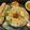 Bina Mithani's cooksnap of when they made ધઉં બાજરા ની રોટલી (Wheat Bajra Rotli Recipe In Gujarati).