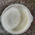 El cooksnap de Virginia Basile cuando hizo 🍨Postre frío de maicena con leche sabor "Lemon🍋 Pie🍰"🍨.