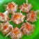 Cooksnap dari Dinda untuk resep Dimsum ayam lembut maknyus
