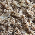 صورة من وسام متين، شاركها بعد تجربة وصفة مكمور الملفوف (محشي كسالا)