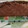 El cooksnap de Claudia cuando hizo Torta integral de cafe nueces y chips de chocolate.