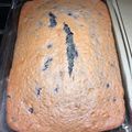 Crock Pot Girl 🤡's cooksnap of when they made Super Easy Blueberry Cake.