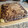 El cooksnap de Maia Rolando cuando hizo Torta marmolada de vainilla y chocolate 🍫🥮😋 - sin leche y suavee.