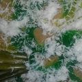 Cooksnap dari Ummu Yahya untuk resep Kue Mata Roda atau Putri Noong