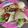 รูป Cooksnap ของ Mo Sorasak เมื่อเขาทำ Egg tortilla wrap