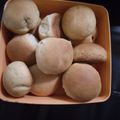 Cooksnap dari Dhee Wull untuk resep Donat panggang irit banyak 🙌🍩🍩 tanpa telur