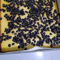 Cooksnap dari irwan nadjamuddin untuk resep Bolu tape panggang 2 telur