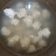 Cooksnap dari Aprilia Isdianti untuk resep Bakso Ayam Homemade
