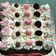 Cooksnap dari Lilis Nawati untuk resep Brownies Kukus Ny. Liem