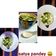Satya Pandey का कुकस्नैप जब उन्होंने पालक सूप(Palak soup recipe Hindi) बनाया था।