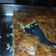 Cooksnap από giota23480 στη συνταγή Κοτόπιτα με πράσα και ανθότυρο