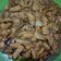 Cooksnap dari puspitaaajeng untuk resep Chicken teriyaki