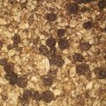 El cooksnap de Ma Victoria Rey cuando hizo Granola, versión de arándanos y semillas.