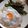 Felice's cooksnap of when they made SarahsBD- Fluffy fried Eggs.