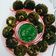 Nehal Patel's cooksnap of when they made હરાભરા કબાબ (Harabhara Kebab Recipe In Gujarati).