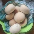 El cooksnap de Tomas Marambio Sanchez cuando hizo Pan.