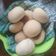 El cooksnap de Tomas Marambio Sanchez cuando hizo Pan.
