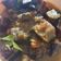 Cooksnap dari Widya Adiningsih untuk resep Jangan Iwak Pari (Khas Borneo)