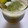 Anamta Azeem's cooksnap of when they made Mint cucumber lemonade.