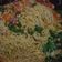 Cooksnap dari seli Litikansi untuk resep Mie rebus tektek