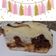 El cooksnap de 🧑🏼‍🍳nahita_36🍽️ cuando hizo Bizcochuelo sin huevo ni manteca 😉.