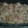 El cooksnap de glurio cuando hizo Coliflor con bechamel y bacon.