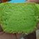 Cooksnap dari Liska Purnama Sari untuk resep Bolu Pandan Jadul
