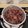 Cooksnap dari Karnita Afrilusari untuk resep Boba / Pearls Brown Sugar